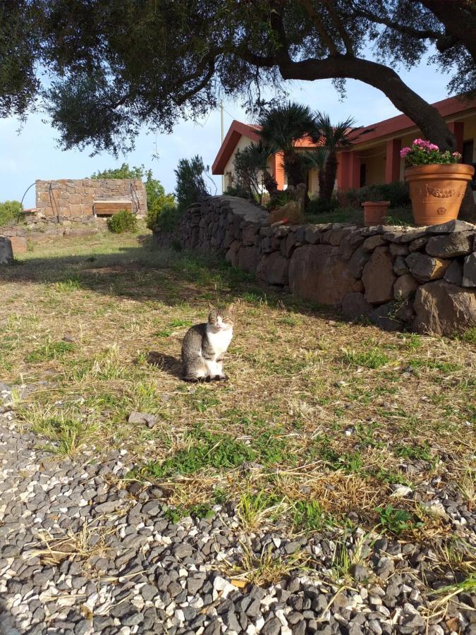 Agriturismo Conca' E Janas Dorgali Kültér fotó