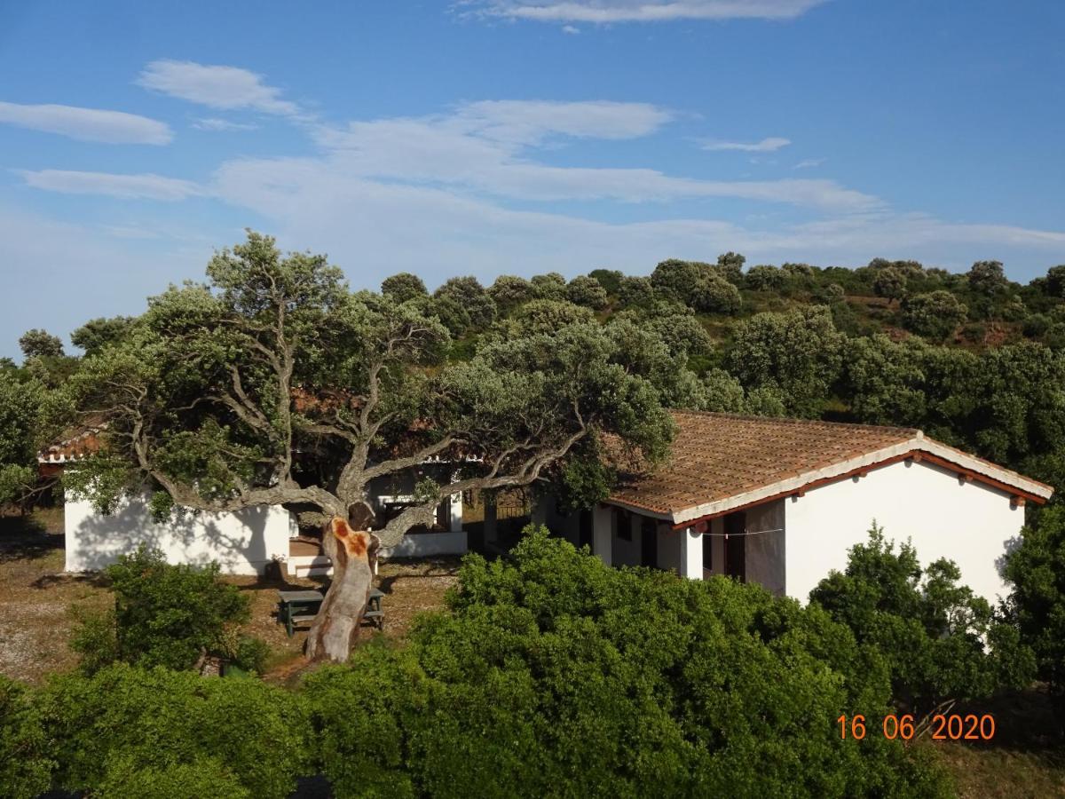 Agriturismo Conca' E Janas Dorgali Kültér fotó