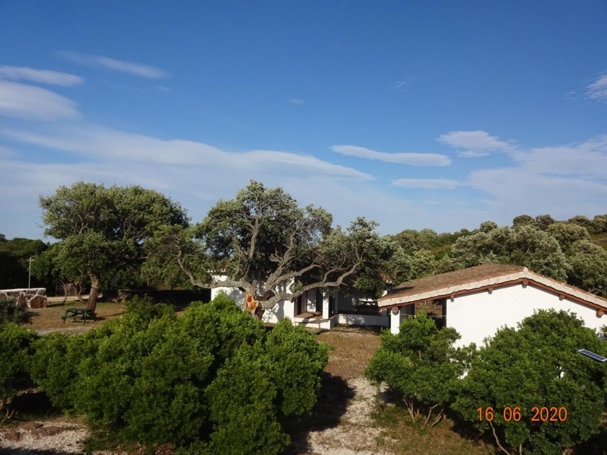 Agriturismo Conca' E Janas Dorgali Kültér fotó