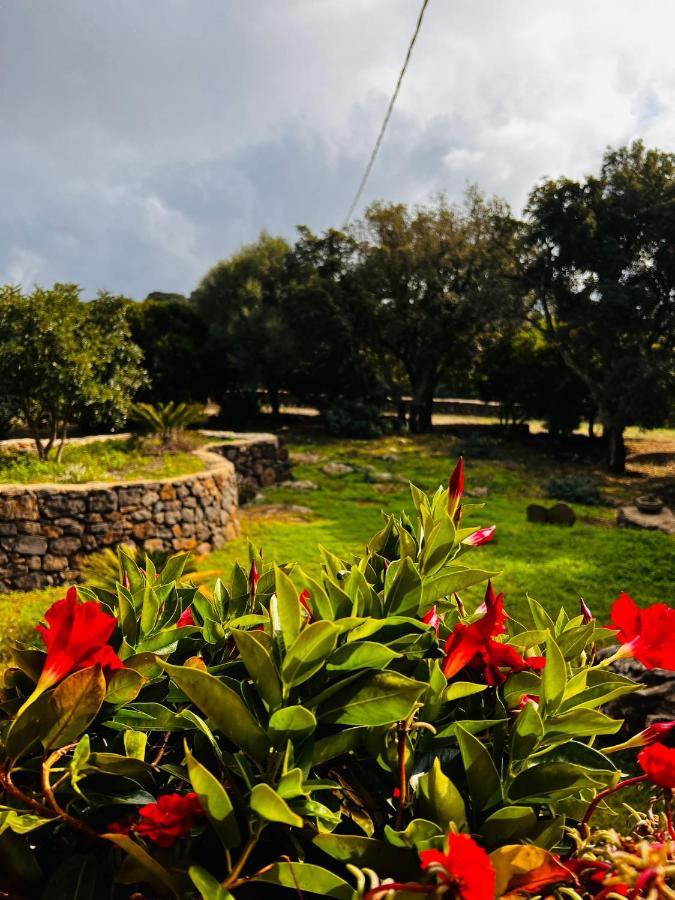 Agriturismo Conca' E Janas Dorgali Kültér fotó