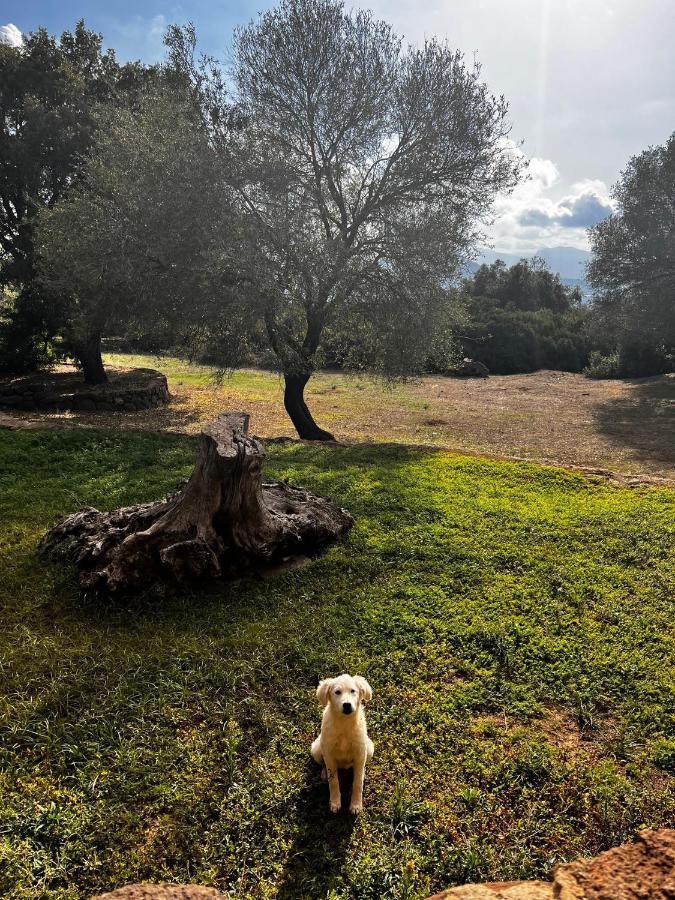 Agriturismo Conca' E Janas Dorgali Kültér fotó