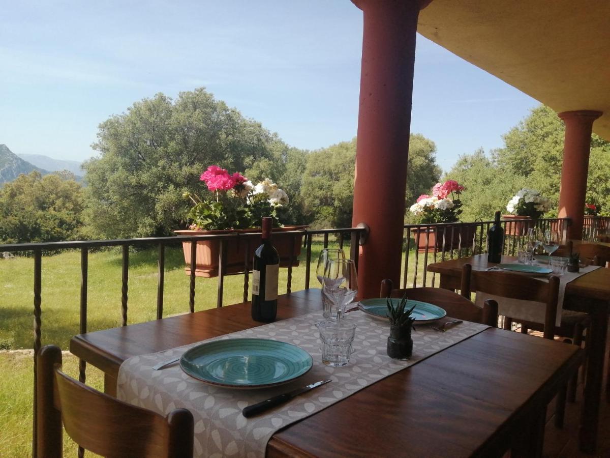 Agriturismo Conca' E Janas Dorgali Kültér fotó