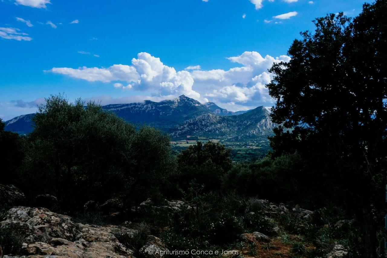 Agriturismo Conca' E Janas Dorgali Kültér fotó