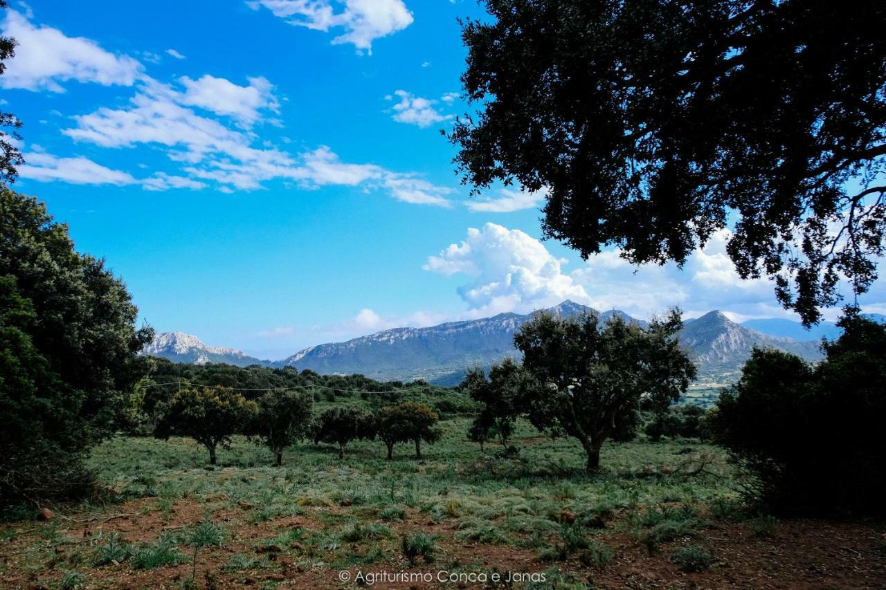 Agriturismo Conca' E Janas Dorgali Kültér fotó