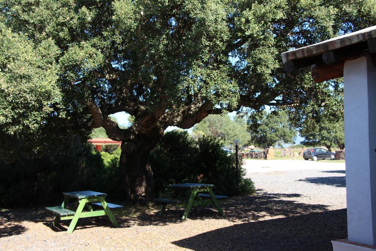 Agriturismo Conca' E Janas Dorgali Kültér fotó